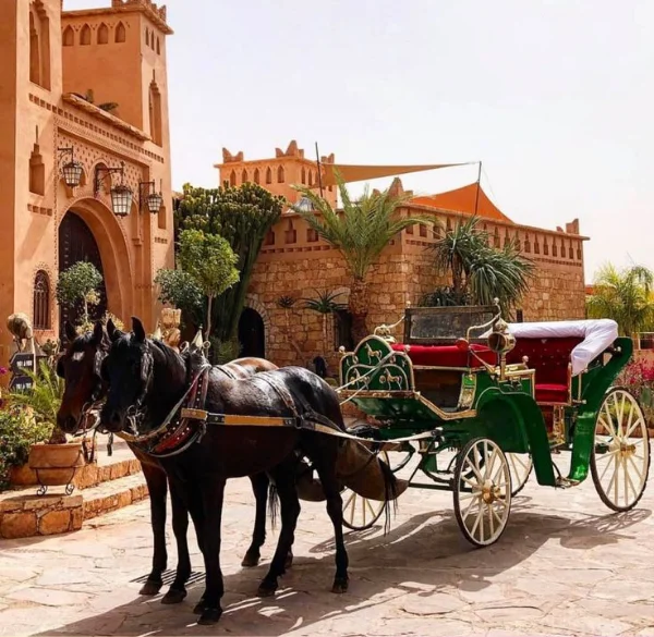 Marrakech travel packages - Red city tours and desert excursions