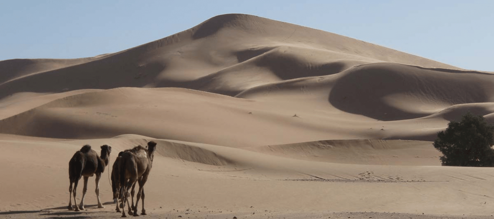 Merzouga desert camp