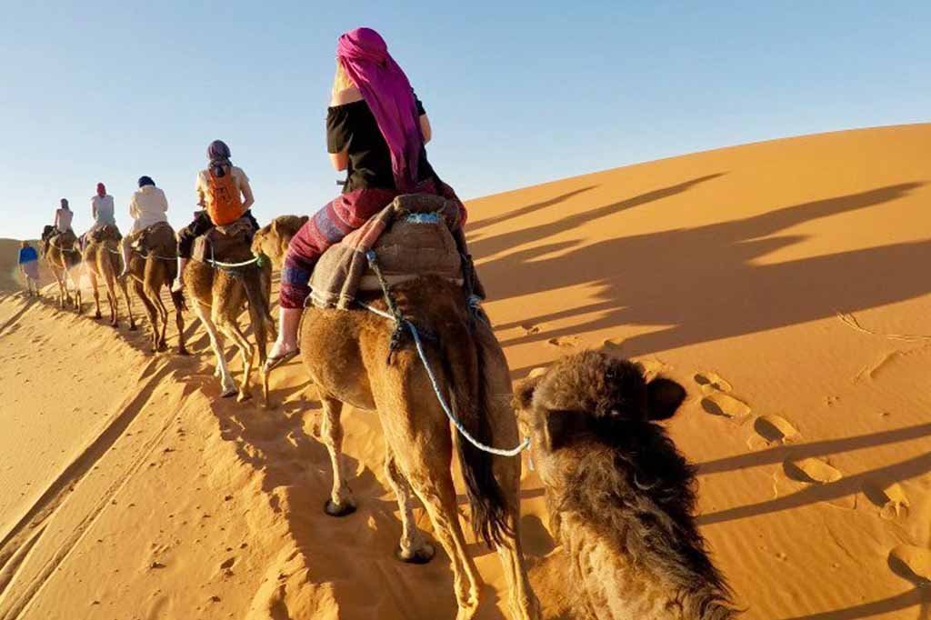 Camel trek Merzouga Desert