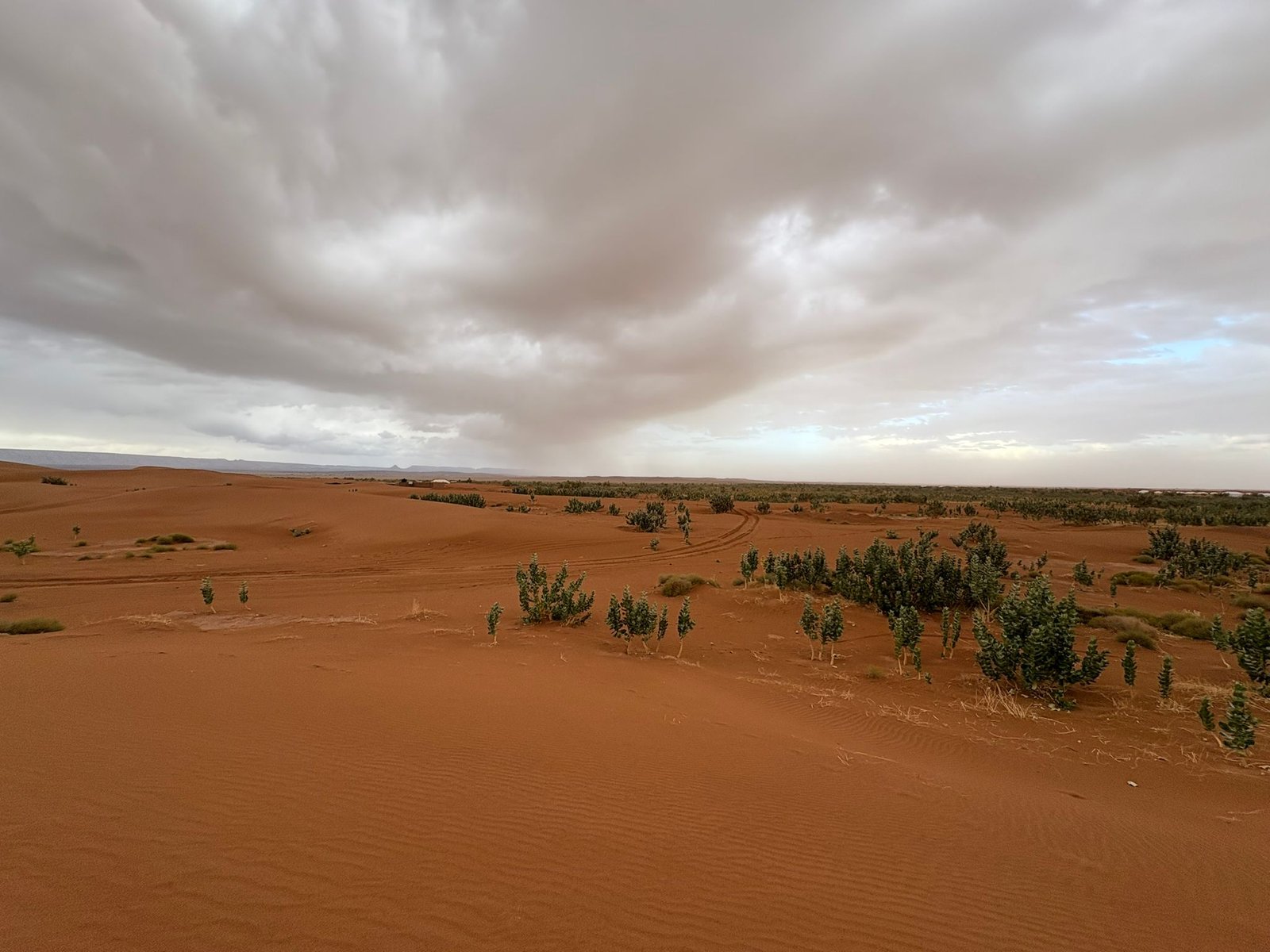 6-Day Private Morocco Tour from Errachidia to Merzouga Fes and Marrakech