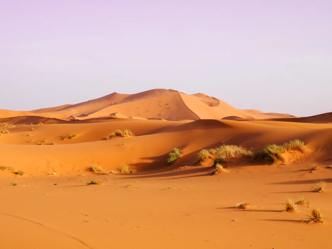 Errachidia to Merzouga Sahara desert tour