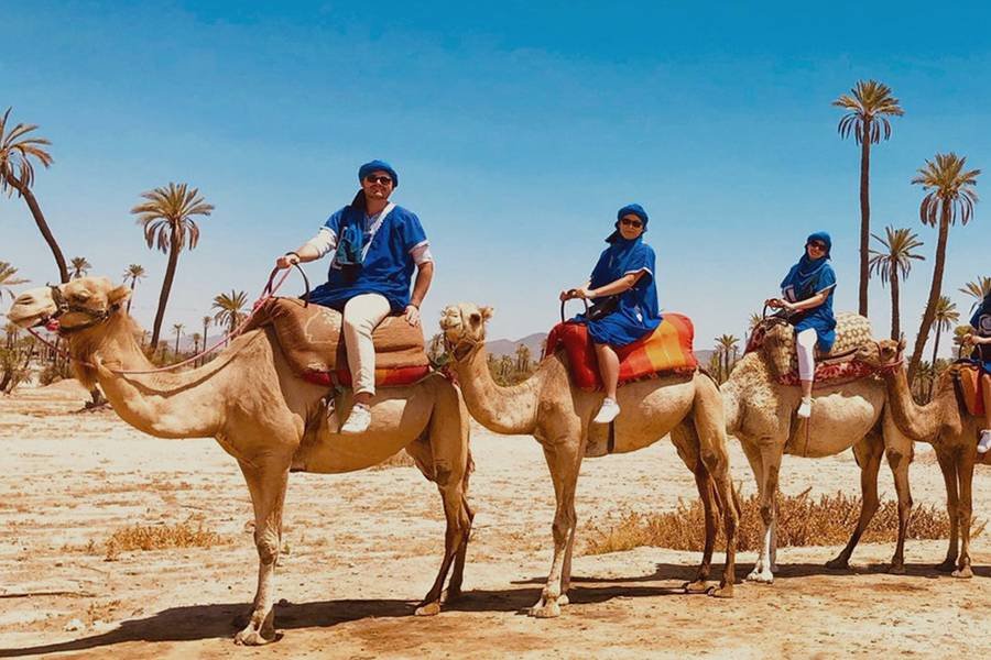 Berber-Style Camel Safari