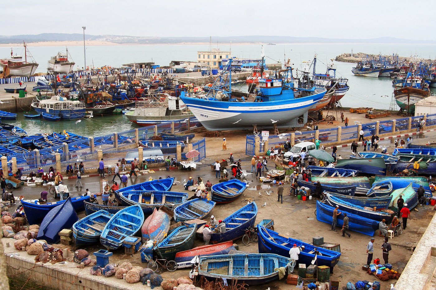Essaouira harbour Morocco