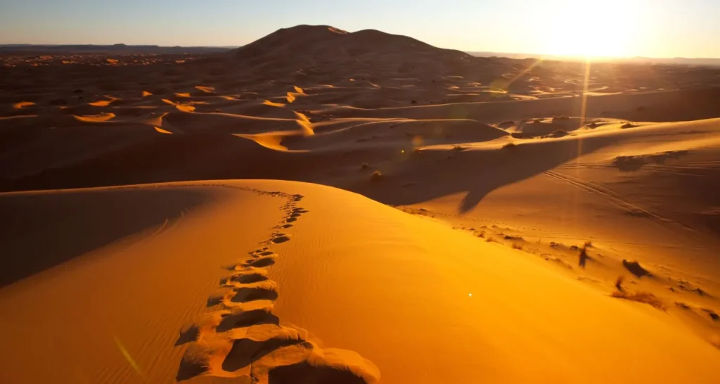 Sahara desert sunrise footprints